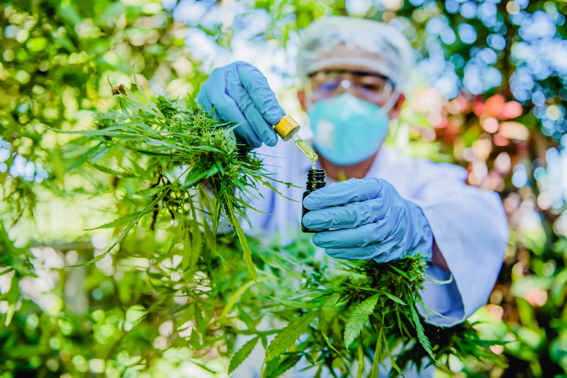 CBD-Öl und Cannabis-Extrakte für medizinische Anwendungen